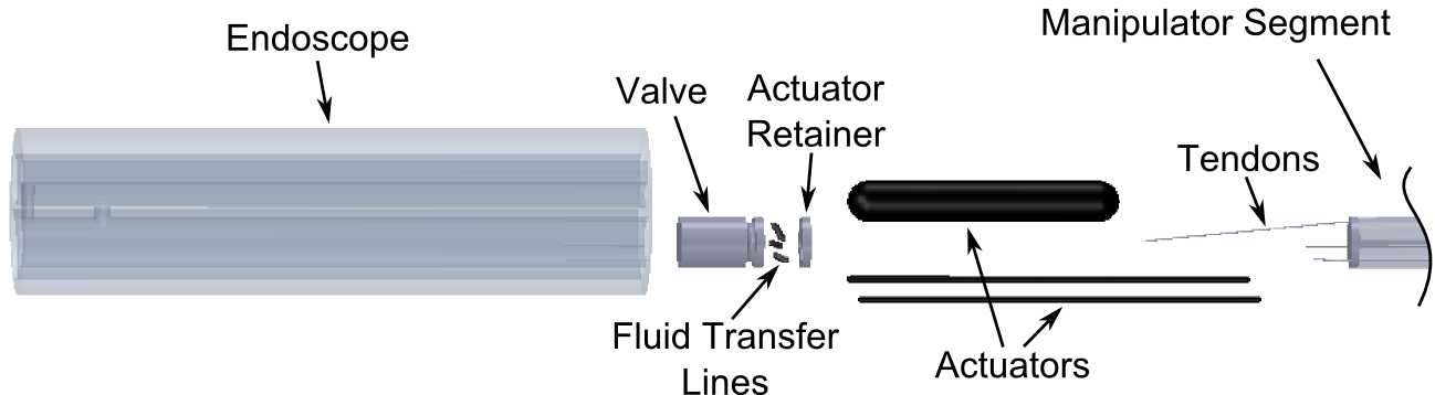 Computer model showing internal system components for a single manipulator section in an exploded view.